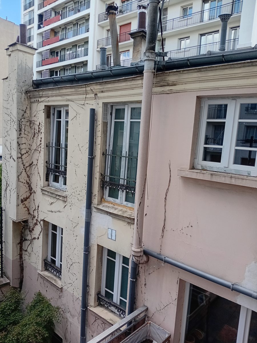 Traces de lierre mort incrustées dans l'enduit d'une façade avenue de Saint-Mandé